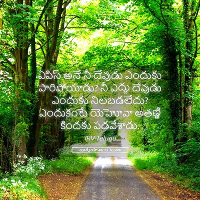 Picture 05 - యిర్మీయా 46:15 TELIRV - ఏపిస్ అనే నీ - Bible Verse Picture