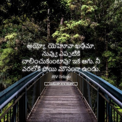 Picture 05 - యిర్మీయా 47:6 TELIRV - అయ్యో, యెహోవా - Bible Verse Picture