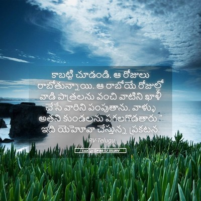 Picture 05 - యిర్మీయా 48:12 TELIRV - కాబట్టి చూడండి. ఆ - Bible Verse Picture