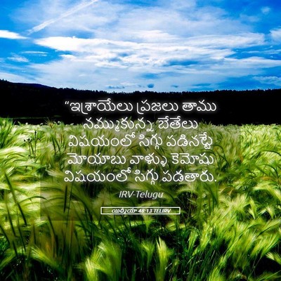 Picture 05 - యిర్మీయా 48:13 TELIRV - “ఇశ్రాయేలు ప్రజలు - Bible Verse Picture