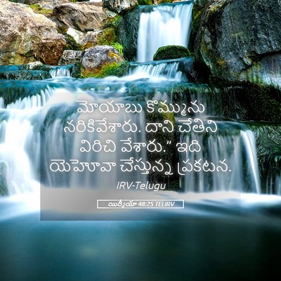 Picture 05 - యిర్మీయా 48:25 TELIRV - మోయాబు కొమ్మును - Bible Verse Picture