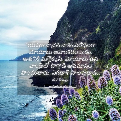 Picture 05 - యిర్మీయా 48:26 TELIRV - “యెహోవానైన నాకు - Bible Verse Picture
