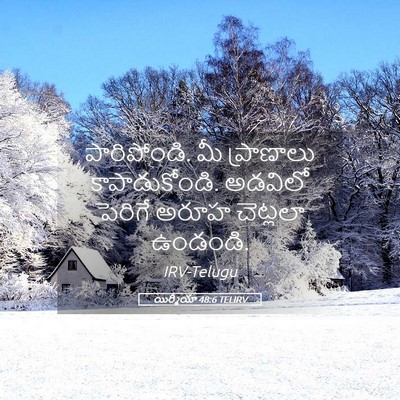 Picture 05 - యిర్మీయా 48:6 TELIRV - పారిపోండి. మీ - Bible Verse Picture