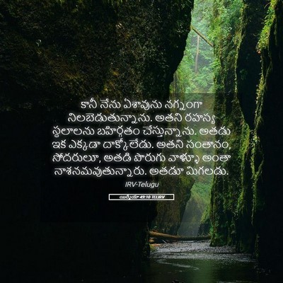 Picture 05 - యిర్మీయా 49:10 TELIRV - కానీ నేను ఏశావును - Bible Verse Picture