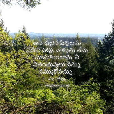 Picture 05 - యిర్మీయా 49:11 TELIRV - అనాథలైన పిల్లలను - Bible Verse Picture