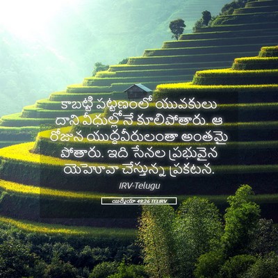Picture 05 - యిర్మీయా 49:26 TELIRV - కాబట్టి పట్టణంలో - Bible Verse Picture