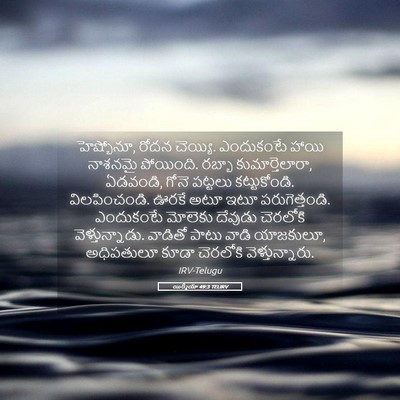 Picture 05 - యిర్మీయా 49:3 TELIRV - హెష్బోనూ, రోదన - Bible Verse Picture