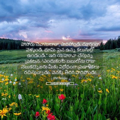 Picture 05 - యిర్మీయా 49:30 TELIRV - హాసోరు - Bible Verse Picture