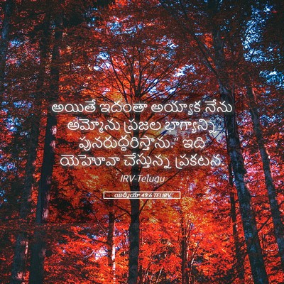 Picture 05 - యిర్మీయా 49:6 TELIRV - అయితే ఇదంతా - Bible Verse Picture