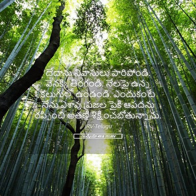 Picture 05 - యిర్మీయా 49:8 TELIRV - దేదాను నివాసులు - Bible Verse Picture