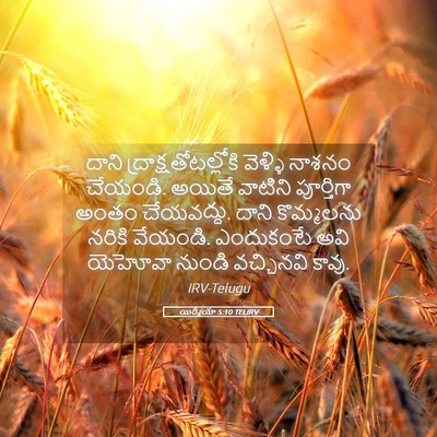 Picture 05 - యిర్మీయా 5:10 TELIRV - దాని - Bible Verse Picture