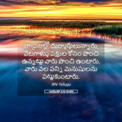 Picture 05 - యిర్మీయా 5:26 TELIRV - నా ప్రజల్లో - Bible Verse Picture