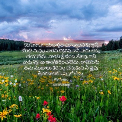 Picture 05 - యిర్మీయా 5:3 TELIRV - యెహోవా, యథార్థత - Bible Verse Picture