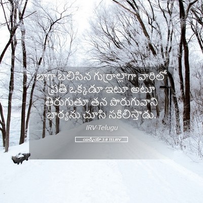 Picture 05 - యిర్మీయా 5:8 TELIRV - బాగా బలిసిన - Bible Verse Picture