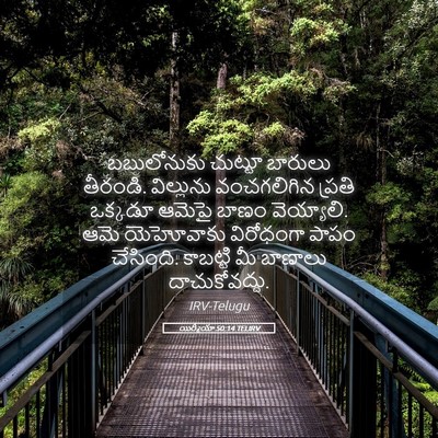 Picture 05 - యిర్మీయా 50:14 TELIRV - బబులోనుకు చుట్టూ - Bible Verse Picture