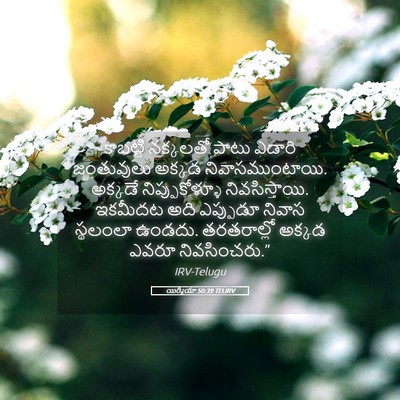 Picture 05 - యిర్మీయా 50:39 TELIRV - కాబట్టి నక్కలతో - Bible Verse Picture