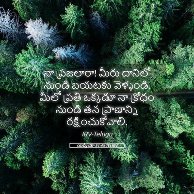 Picture 05 - యిర్మీయా 51:45 TELIRV - నా ప్రజలారా! మీరు - Bible Verse Picture