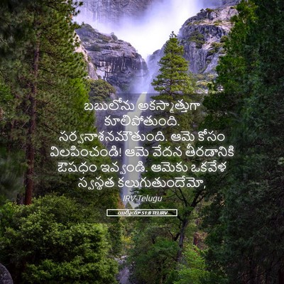 Picture 05 - యిర్మీయా 51:8 TELIRV - బబులోను - Bible Verse Picture