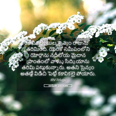 Picture 05 - యిర్మీయా 52:8 TELIRV - కానీ కల్దీయుల - Bible Verse Picture