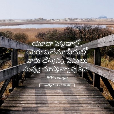 Picture 05 - యిర్మీయా 7:17 TELIRV - యూదా పట్టణాల్లో, - Bible Verse Picture