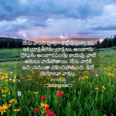 Picture 05 - యిర్మీయా 8:13 TELIRV - నేను వారిని - Bible Verse Picture