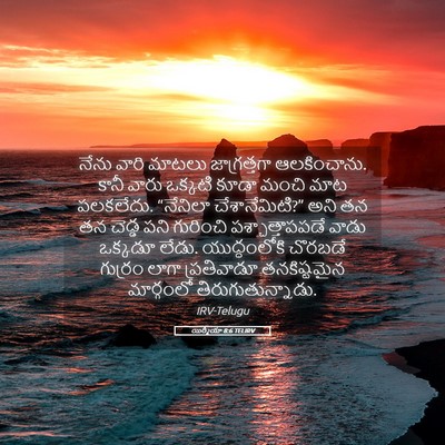 Picture 05 - యిర్మీయా 8:6 TELIRV - నేను వారి మాటలు - Bible Verse Picture