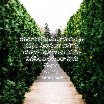 Picture 05 - యిర్మీయా 9:11 TELIRV - యెరూషలేమును - Bible Verse Picture