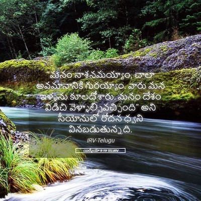 Picture 05 - యిర్మీయా 9:19 TELIRV - “మనం నాశనమయ్యాం, - Bible Verse Picture