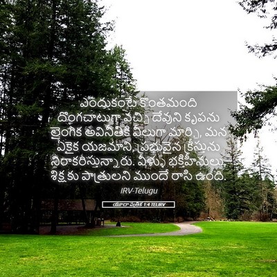 Picture 05 - యూదా పత్రిక 1:4 TELIRV - ఎందుకంటే కొంతమంది - Bible Verse Picture