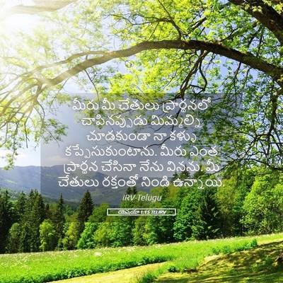 Picture 05 - యెషయా 1:15 TELIRV - మీరు మీ చేతులు - Bible Verse Picture