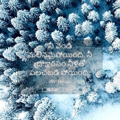 Picture 05 - యెషయా 1:22 TELIRV - నీ వెండి - Bible Verse Picture