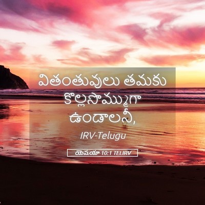 Picture 05 - యెషయా 10:1 TELIRV - వితంతువులు తమకు - Bible Verse Picture