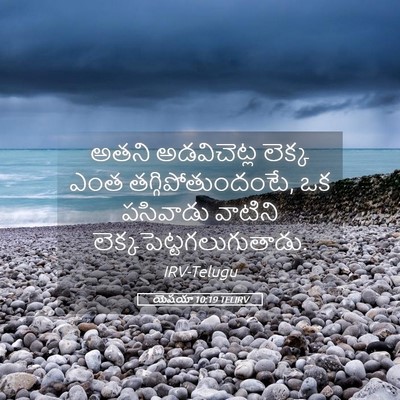 Picture 05 - యెషయా 10:19 TELIRV - అతని అడవిచెట్ల - Bible Verse Picture