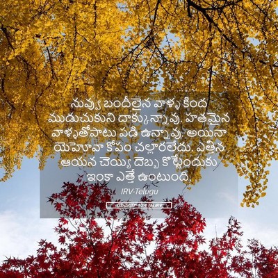 Picture 05 - యెషయా 10:4 TELIRV - నువ్వు బందీలైన - Bible Verse Picture