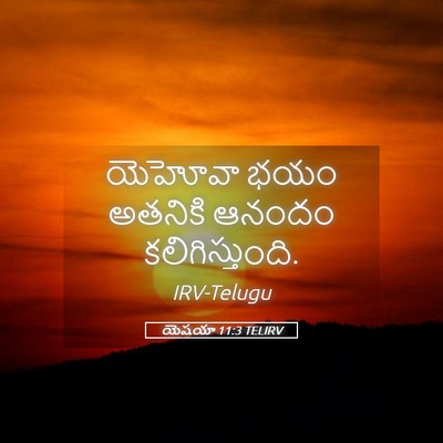 Picture 05 - యెషయా 11:3 TELIRV - యెహోవా భయం అతనికి - Bible Verse Picture
