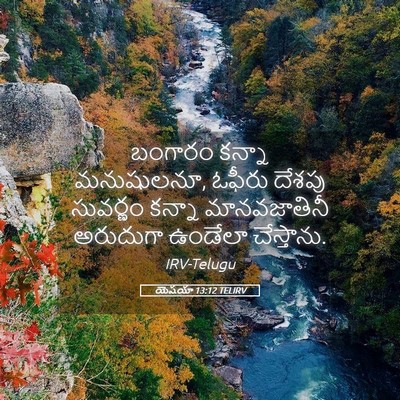 Picture 05 - యెషయా 13:12 TELIRV - బంగారం కన్నా - Bible Verse Picture