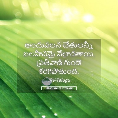 Picture 05 - యెషయా 13:7 TELIRV - అందువలన చేతులన్నీ - Bible Verse Picture