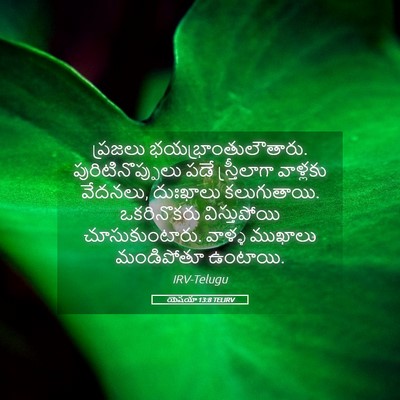 Picture 05 - యెషయా 13:8 TELIRV - ప్రజలు - Bible Verse Picture