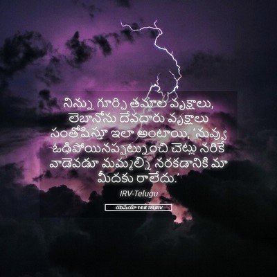 Picture 05 - యెషయా 14:8 TELIRV - నిన్ను గూర్చి - Bible Verse Picture