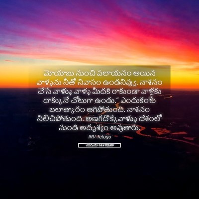 Picture 05 - యెషయా 16:4 TELIRV - మోయాబు నుంచి - Bible Verse Picture
