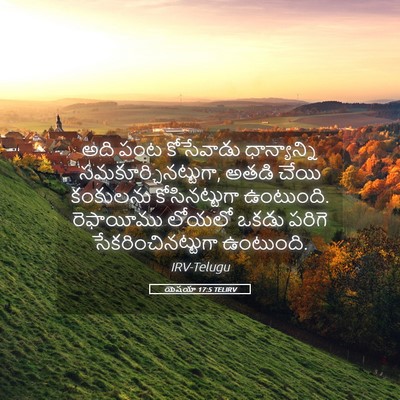 Picture 05 - యెషయా 17:5 TELIRV - అది పంట కోసేవాడు - Bible Verse Picture