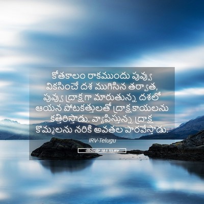 Picture 05 - యెషయా 18:5 TELIRV - కోతకాలం రాకముందు - Bible Verse Picture
