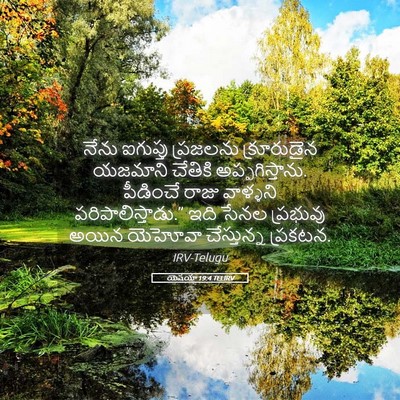 Picture 05 - యెషయా 19:4 TELIRV - నేను ఐగుప్తు - Bible Verse Picture
