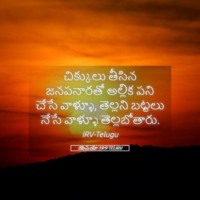 Picture 05 - యెషయా 19:9 TELIRV - చిక్కులు తీసిన - Bible Verse Picture