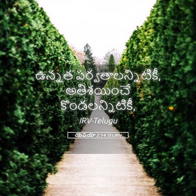 Picture 05 - యెషయా 2:14 TELIRV - ఉన్నత - Bible Verse Picture