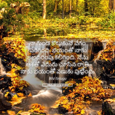 Picture 05 - యెషయా 21:4 TELIRV - నా గుండె - Bible Verse Picture