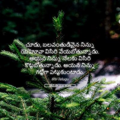 Picture 05 - యెషయా 22:17 TELIRV - చూడు, బలవంతుడివైన - Bible Verse Picture