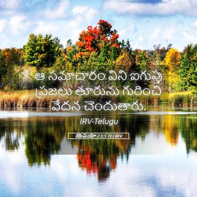 Picture 05 - యెషయా 23:5 TELIRV - ఆ సమాచారం విని - Bible Verse Picture