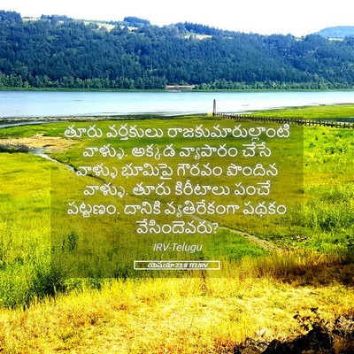 Picture 05 - యెషయా 23:8 TELIRV - తూరు వర్తకులు - Bible Verse Picture