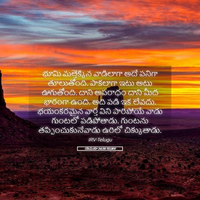 Picture 05 - యెషయా 24:20 TELIRV - భూమి మత్తెక్కిన - Bible Verse Picture